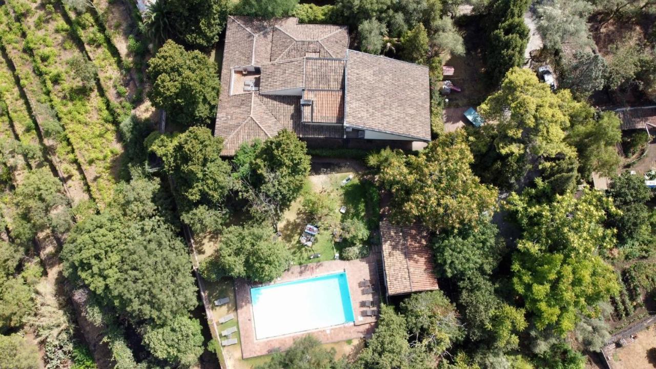 Il Palmento Villa Santa Venerina Eksteriør bilde